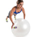 Stability Ball - Sweatfully