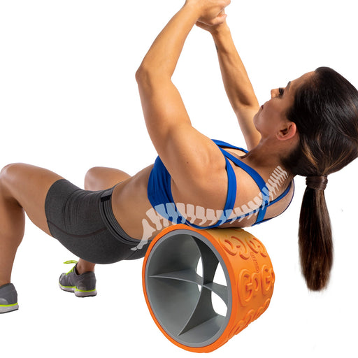 GoWheel (12-inch) - Sweatfully