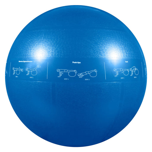 Guide Ball - Pro Grade Stability Ball - Sweatfully