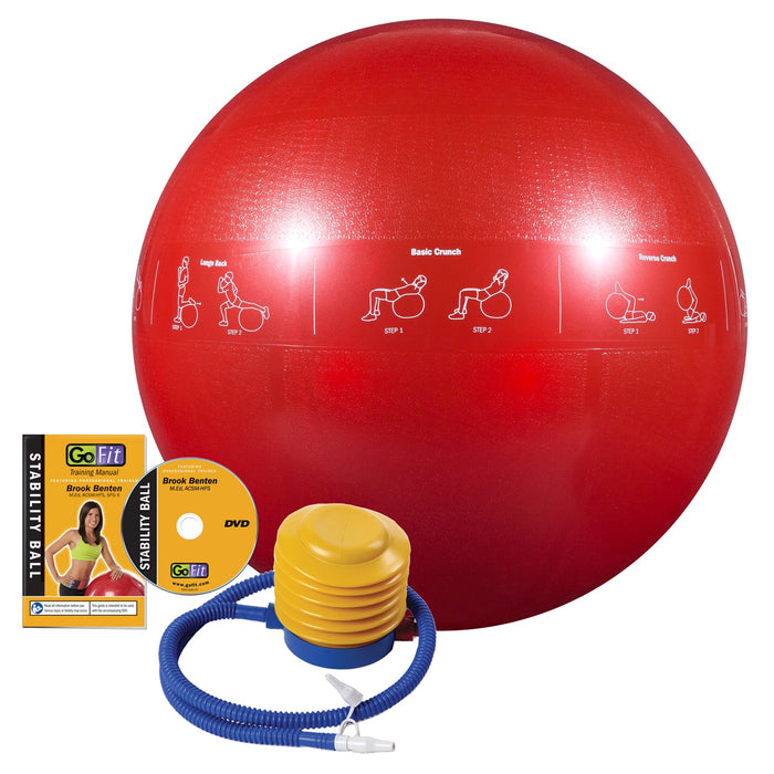 Guide Ball - Pro Grade Stability Ball - Sweatfully