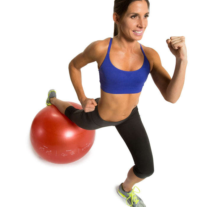 Guide Ball - Pro Grade Stability Ball - Sweatfully