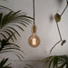 Gaia Plug-In Pendant in Brass - Sweatfully
