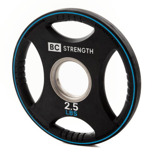 2.5lb Weight Plates (set of 2) - Sweatfully