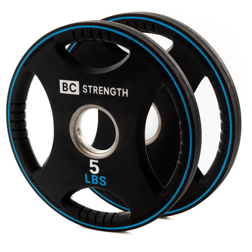 5lb Weight Plates (set of 2) - Sweatfully
