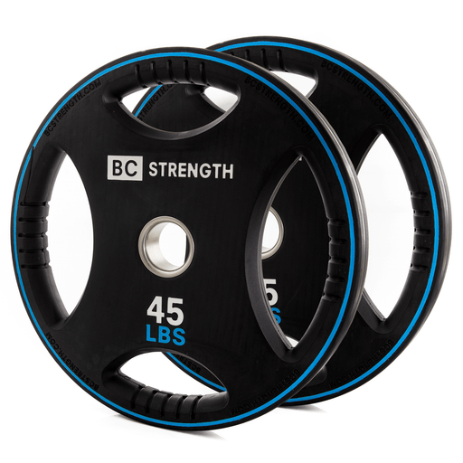 45lb Weight Plates (set of 2) - Sweatfully