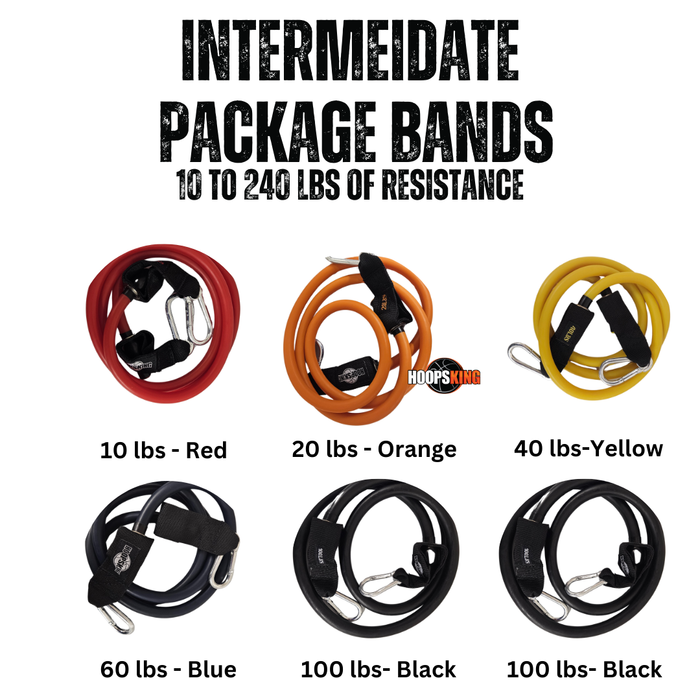 Vertical Blitz Resistance Bands | For All Ages | Shoulders to Heels - Sweatfully