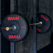 HD Bumper Plates (Pair) - 55lb - Sweatfully