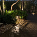 RadiantLight Polynesian Landscape Light - Garden Light - Sweatfully