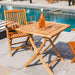Telluride Oiled Teak Outdoor Patio Folding Chair with Arm Rests - Sweatfully