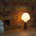 Knuckle Table Lamp in Walnut + Enno - Sweatfully