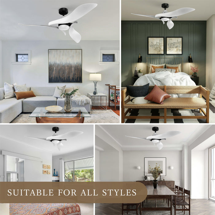 Black 54" DC Motor 6 Speed Ceiling Fan with LED Lighting - Sweatfully