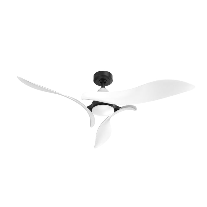Black 54" DC Motor 6 Speed Ceiling Fan with LED Lighting - Sweatfully