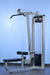 Dual Function Lat-Low Row Combo - Muscle D Fitness -  Seated - Pin Selectorized - Commercial Grade - Sweatfully