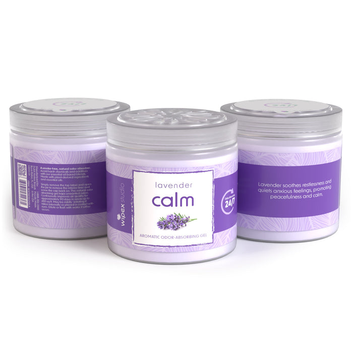 Wipex® Studio Smokeless Natural Odor Eliminator for Yoga & Wellness Spaces - Sweatfully