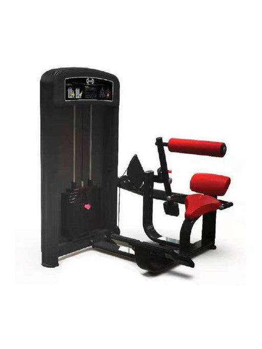 Elite Selectorized Low Back Extension - Muscle D Fitness - Commercial Adjustable Seated Pin Selectorized Low Back Extension - Sweatfully
