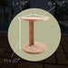 Cabo Natural Teak C Shaped Side Table - Sweatfully