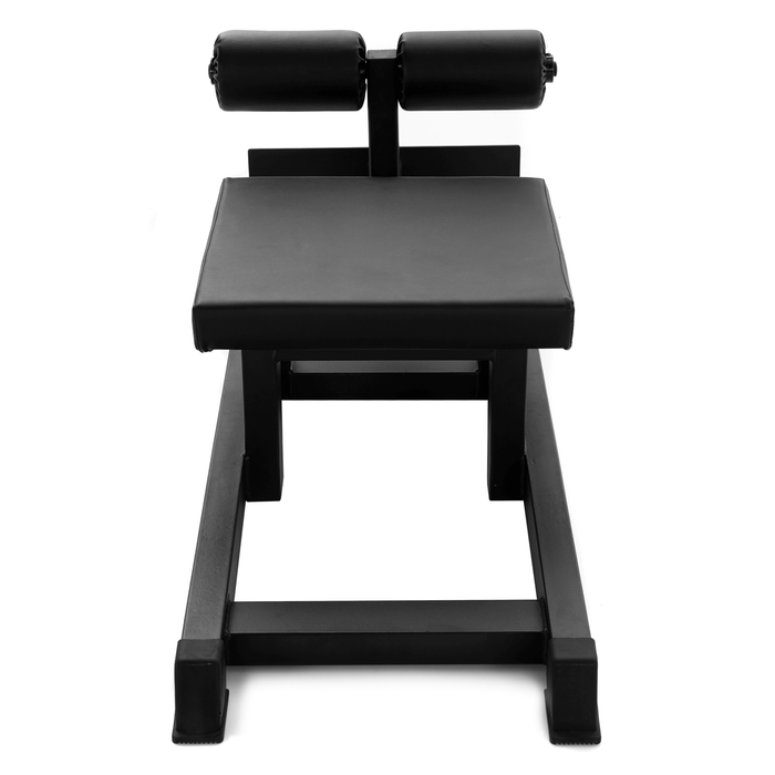 Nordic Ham Curl - Sweatfully