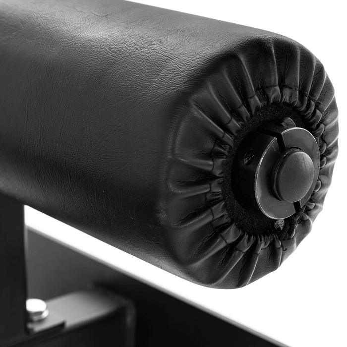 Nordic Ham Curl - Sweatfully