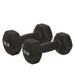Sunny Health & Fitness Neoprene Dumbbell - 10lb (PAIR) - Sweatfully