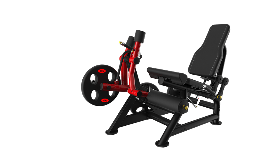 Power Leverage V2  Leg Extension - Muscle D Fitness - Sweatfully