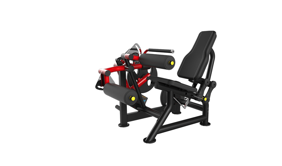 Power Leverage V2  Seated Leg Curl - Muscle D Fitness - Sweatfully