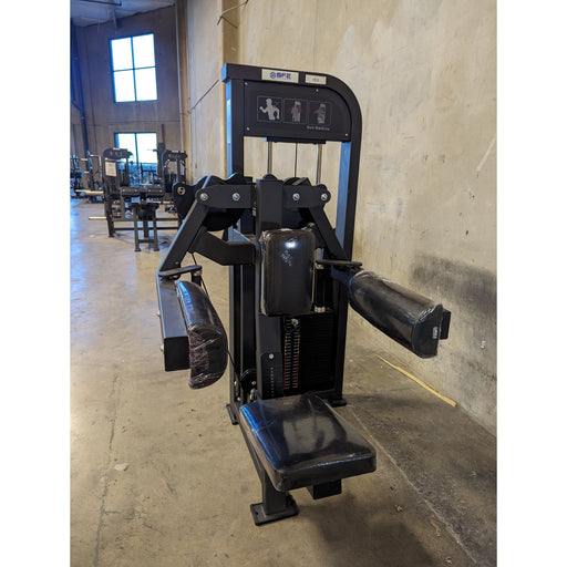 SFE Lateral Raise Delt Machine with 250lb weight stacks (New) - Sweatfully