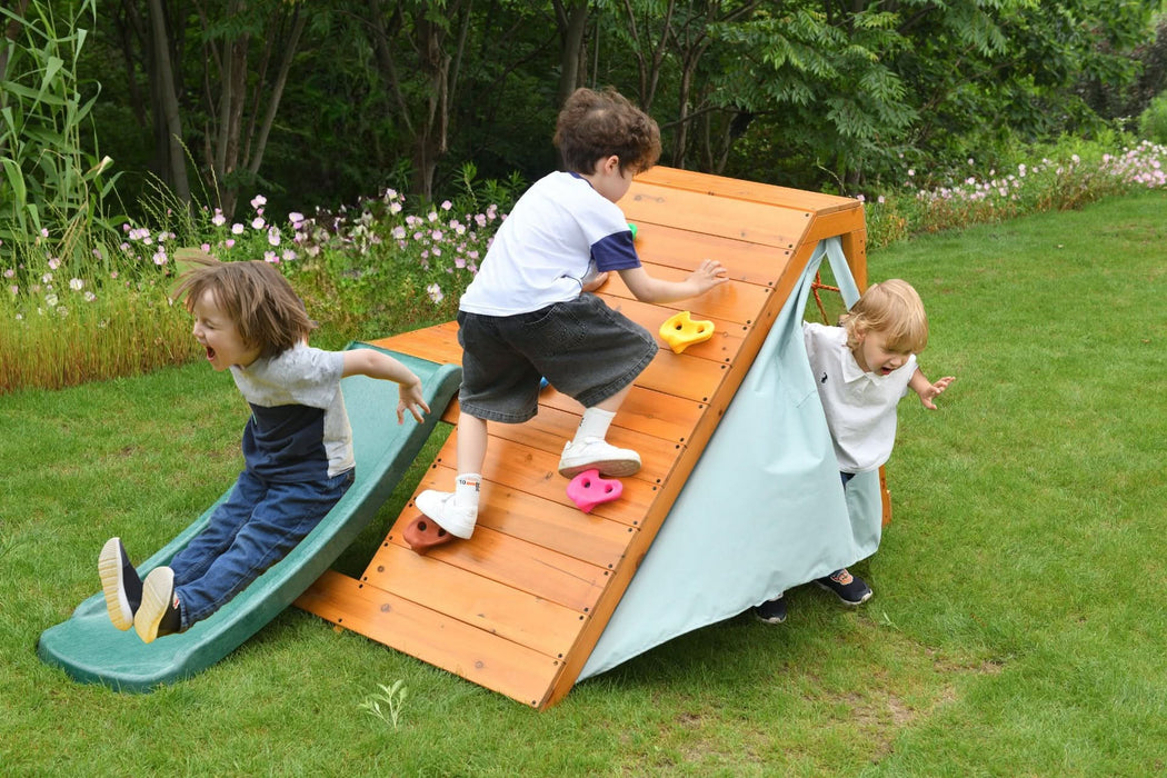 Palm - 5-in-1 Outdoor and Indoor Playground Playset - Sweatfully