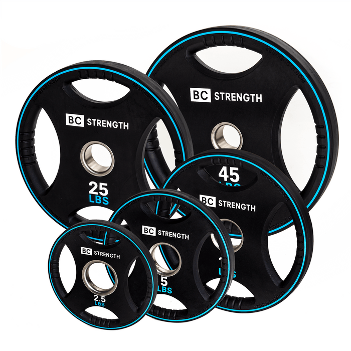 Full Set of Weight Plates - Sweatfully