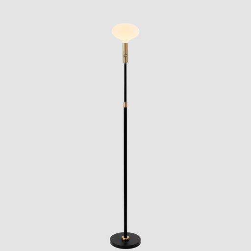 Poise Adjustable Floor Lamp in Brass + Oval II - Sweatfully