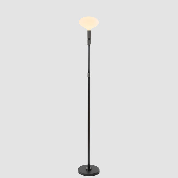 Poise Adjustable Floor Lamp in Graphite + Oval II - Sweatfully