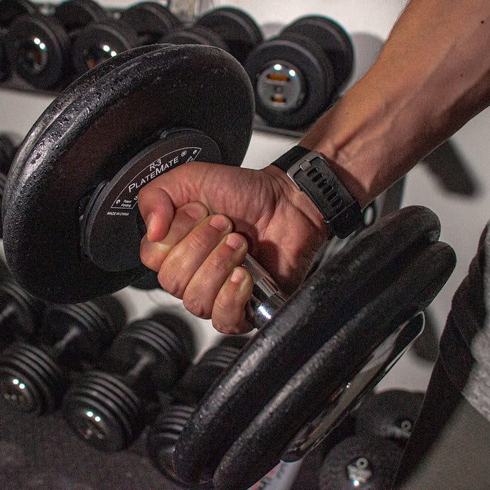 1.25lb R-3 PlateMate (Pair) - Sweatfully