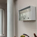 RetroBox Locking Wall Mount Mailbox in ARCTIC WHITE - Sweatfully