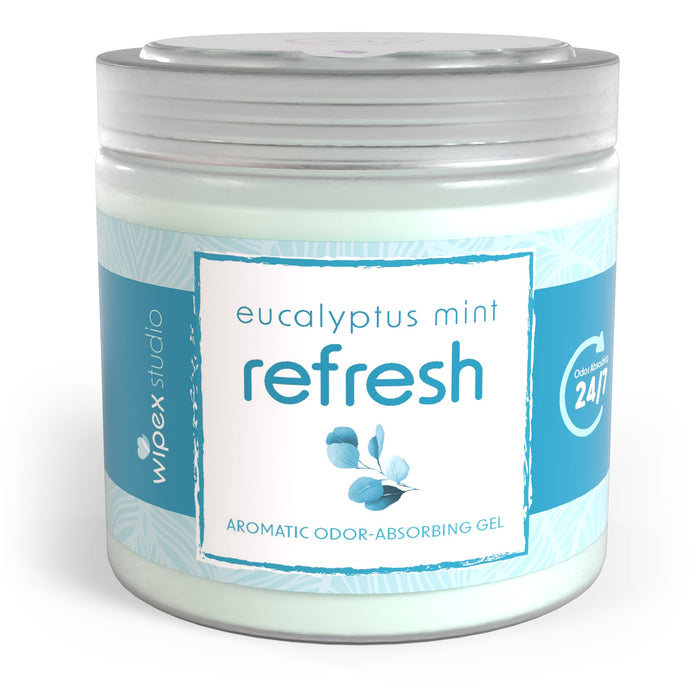 Wipex® Studio Smokeless Natural Odor Eliminator for Yoga & Wellness Spaces - Sweatfully