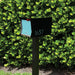 Retrobox / UptownBox Optional Pole - Sweatfully