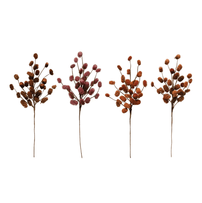 Dried Natural Thistle - Sweatfully