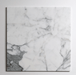 Calacatta 18"x18" Honed Marble Tile - Sweatfully
