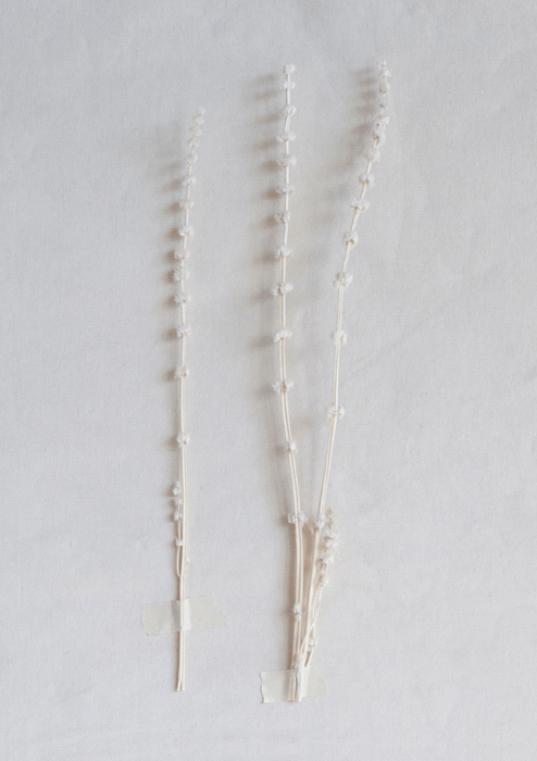 Dried Natural Lions Tail Bunch - Sweatfully