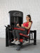 Elite Selectorized Leg Extension Seated Leg Curl Combo - Muscle D Fitness - Commercial Grade - Adjustable Seated - Pin Selectorized - Sweatfully