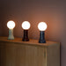 Shore Table Lamp in Sea Green - Sweatfully