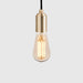 Squirrel Cage Plug-In Pendant in Brass - Sweatfully