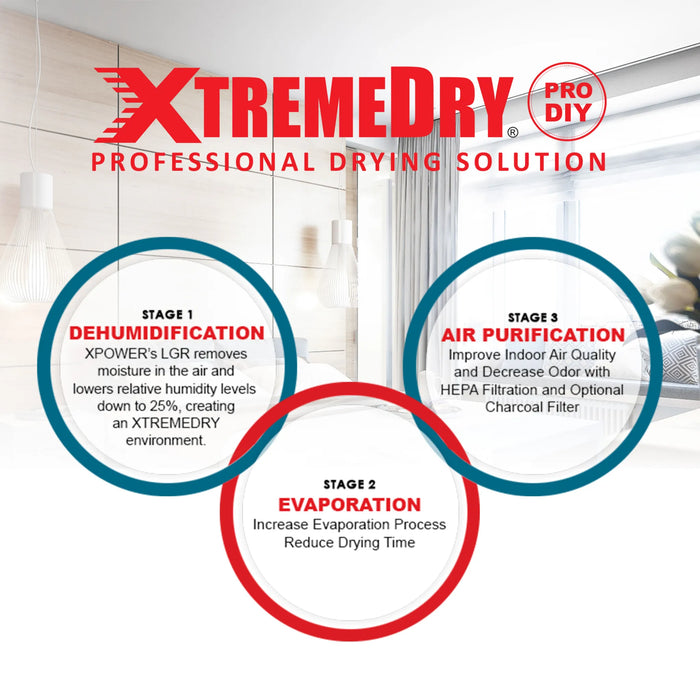 XPOWER XTREMEDRY Mojave DIY Pro-Drying System - Sweatfully