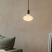Oval Dim to Warm Plug-In Pendant in Graphite - Sweatfully