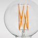Elva E26 Non-Tinted LED Bulb - Sweatfully