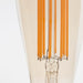 Squirrel Cage E26 LED Bulb - Sweatfully