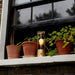 The Muse Portable Lamp in Solid Brass - Sweatfully