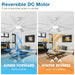 72 Inch Elbe Modern Downrod Mount Ceiling Fan with Light and Remote Control - Sweatfully
