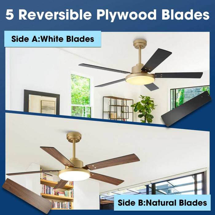 Vaczon 52 Inch Double-sided Blades Modern Ceiling Fan with Remote Control and LED Light - Sweatfully