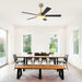 Vaczon 52 Inch Double-sided Blades Modern Ceiling Fan with Remote Control and LED Light - Sweatfully