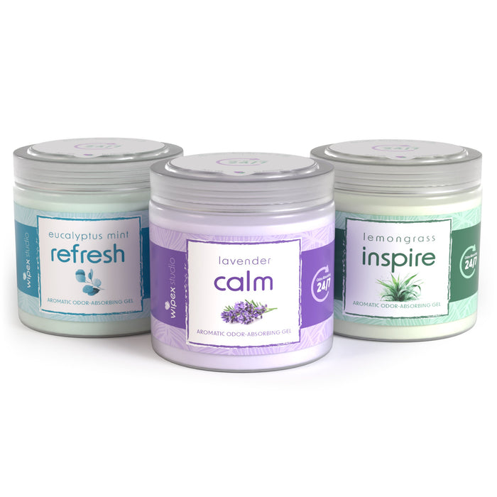 Wipex® Studio Smokeless Natural Odor Eliminator for Yoga & Wellness Spaces - Sweatfully