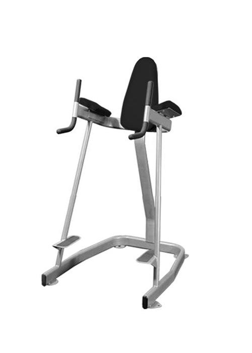 Vertical Knee Raise - Elite Series - Muscle D Fitness - Sturdy Vertical Knee Raise - Sweatfully